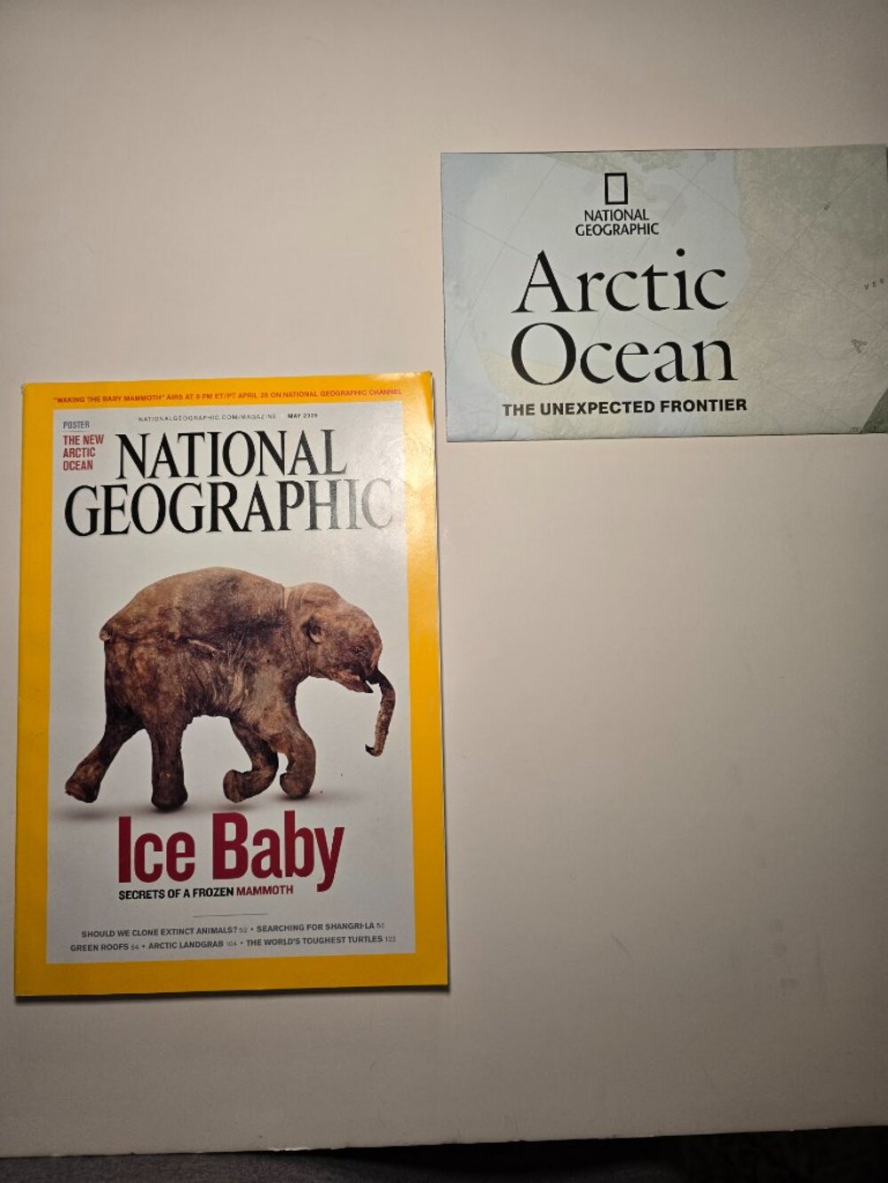 National Geographic May 2009 Ice Baby Frozen Mammoth Magazine w Arctic Ocean Map